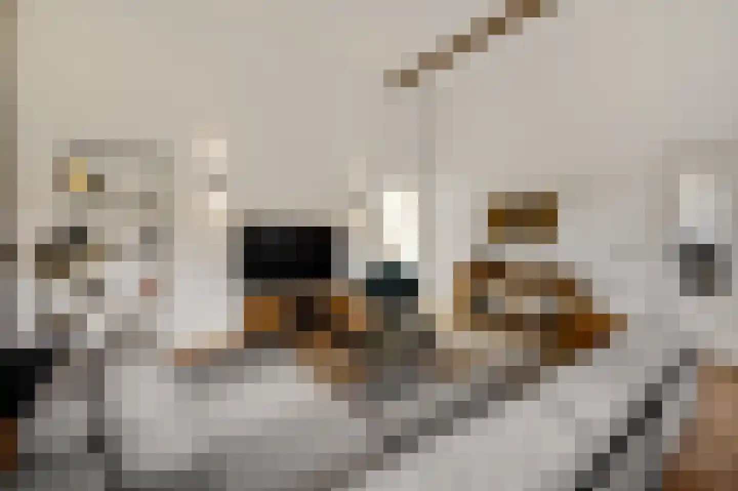 Carmelitessenstraat 50 Roermond thumbnail 11
