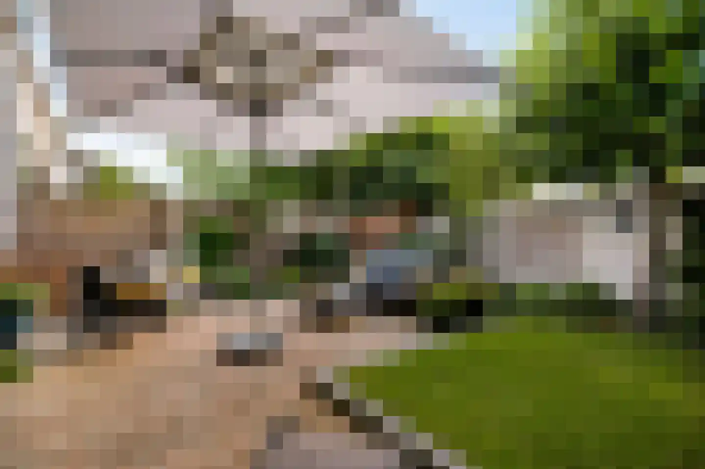 Carmelitessenstraat 50 Roermond thumbnail 23