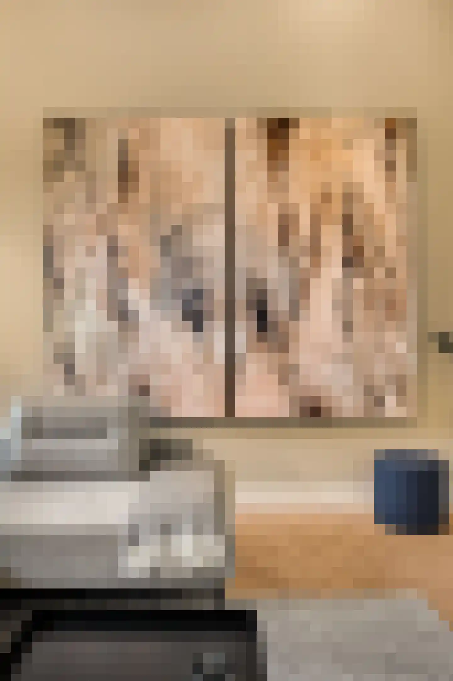 Carmelitessenstraat 50 Roermond thumbnail 8