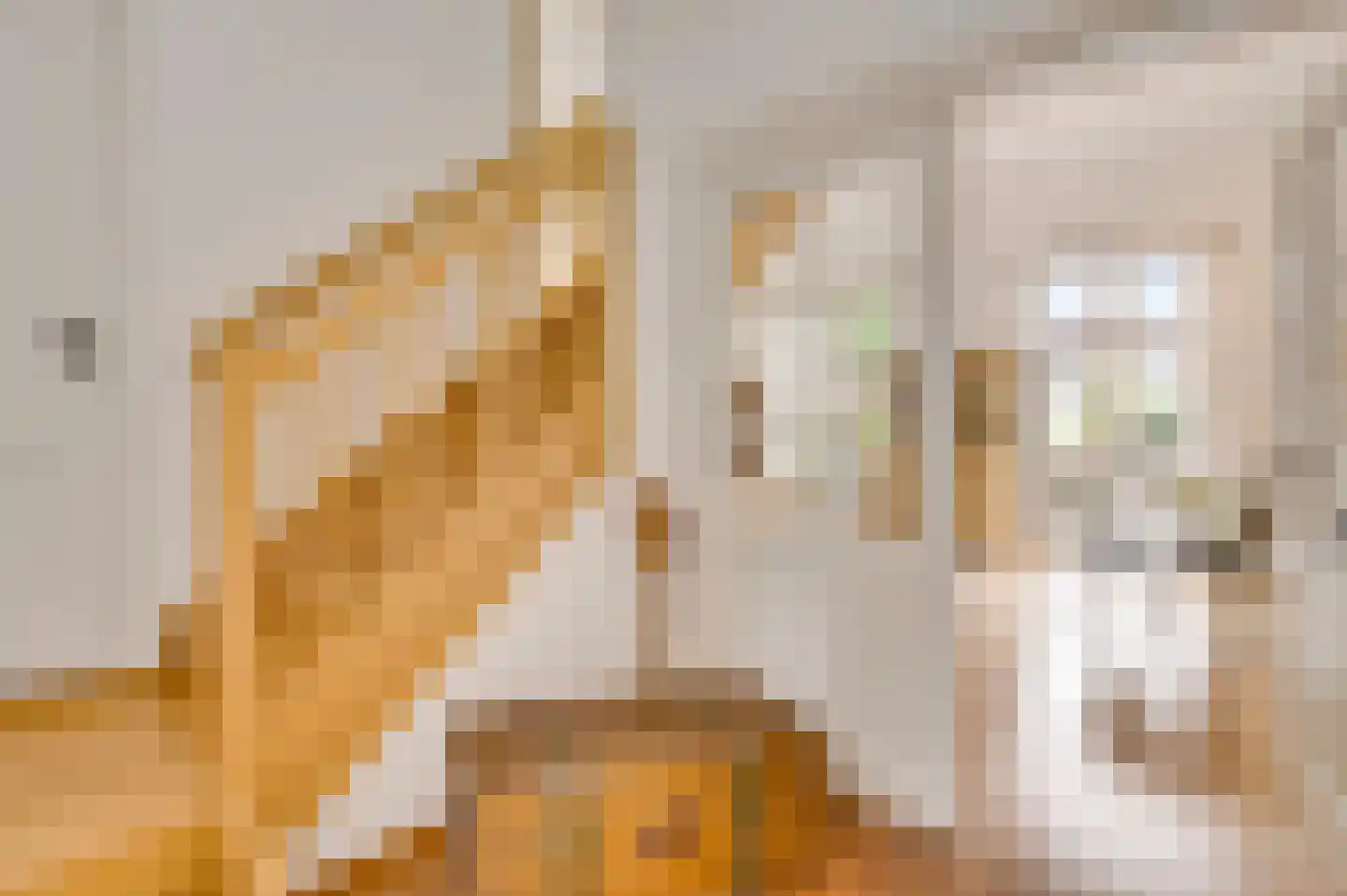 Carmelitessenstraat 54 Roermond thumbnail 15