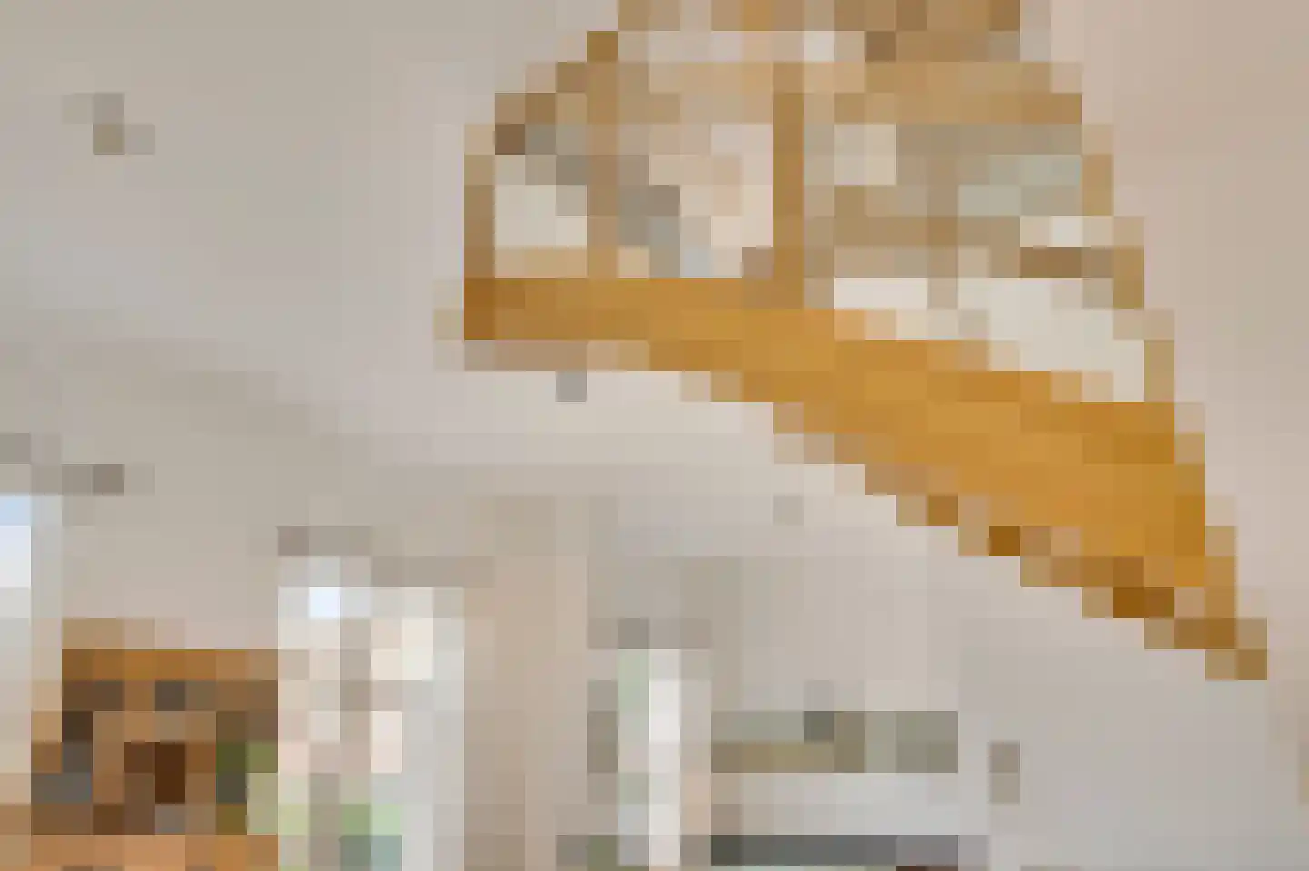 Carmelitessenstraat 54 Roermond thumbnail 18