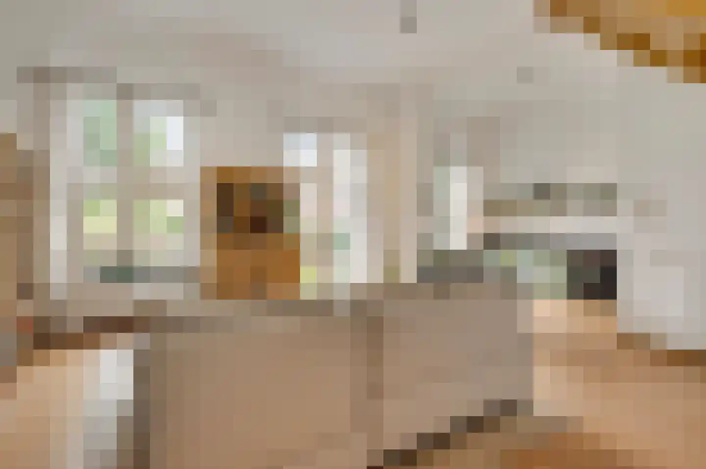 Carmelitessenstraat 54 Roermond thumbnail 19