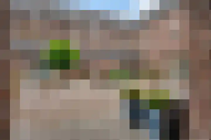Carmelitessenstraat 54 Roermond thumbnail 30