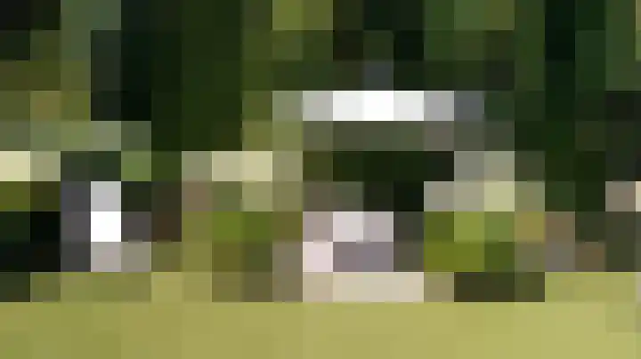 Carmelstraat 26 Beek thumbnail 44