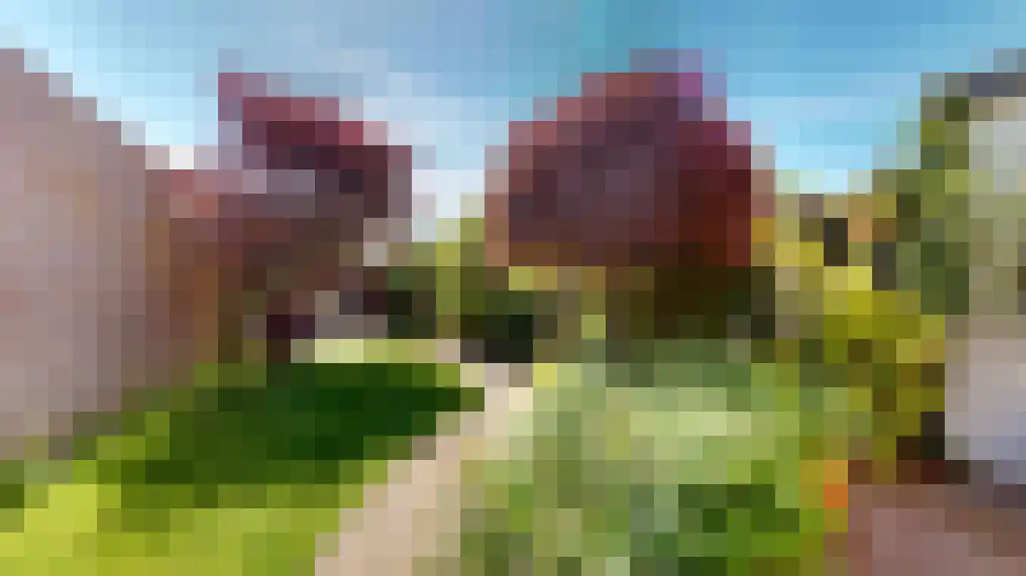 Carmelstraat 3 a Beek thumbnail 36
