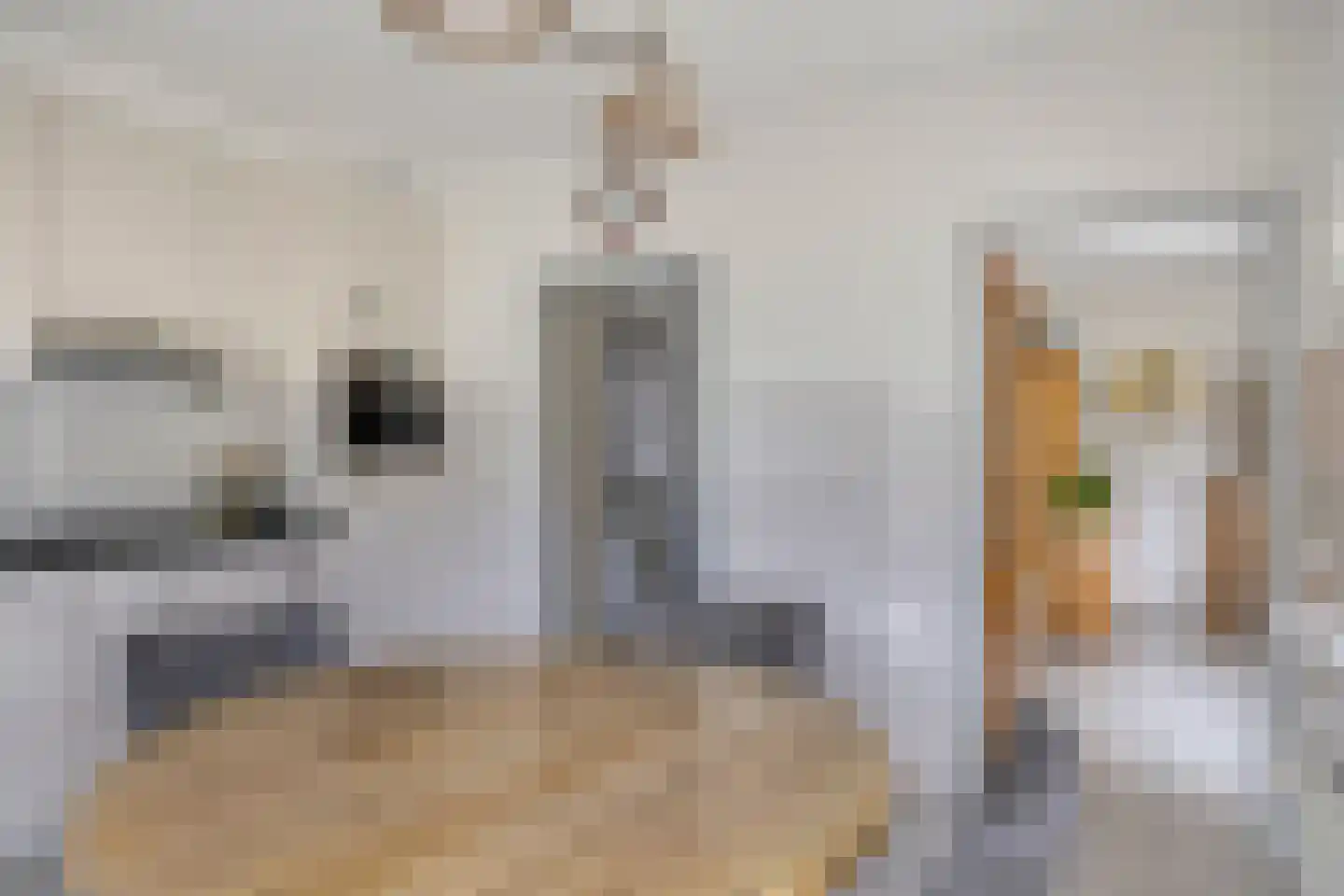 Carmelweg 3 Hulst thumbnail 10