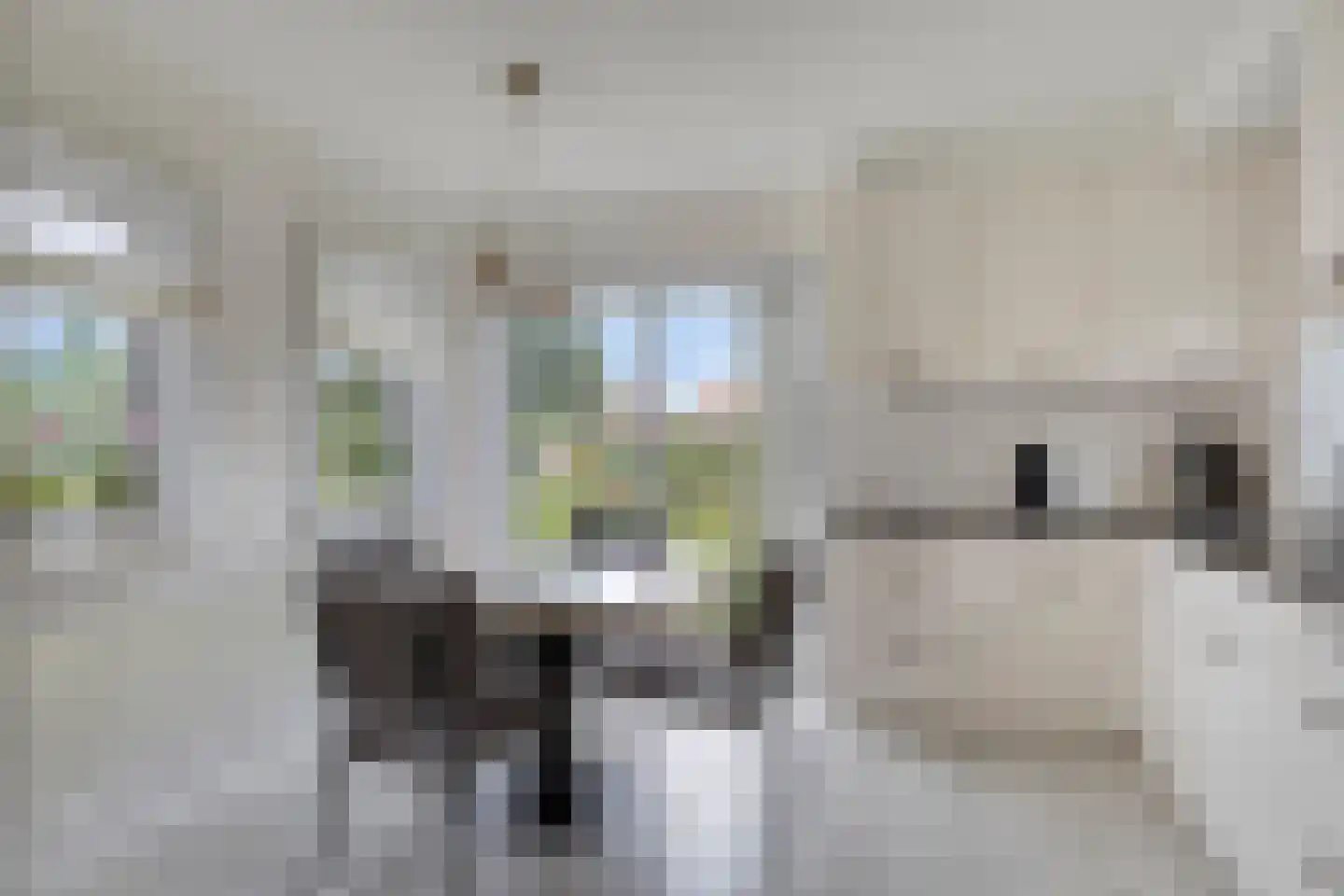 Carmelweg 3 Hulst thumbnail 11