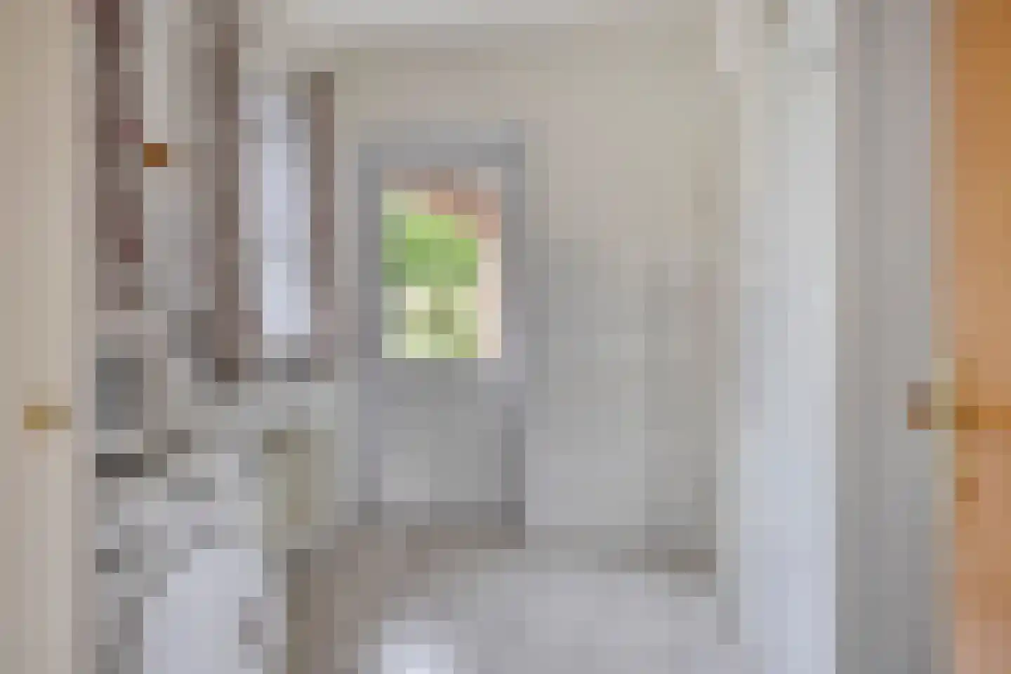Carmelweg 3 Hulst thumbnail 12