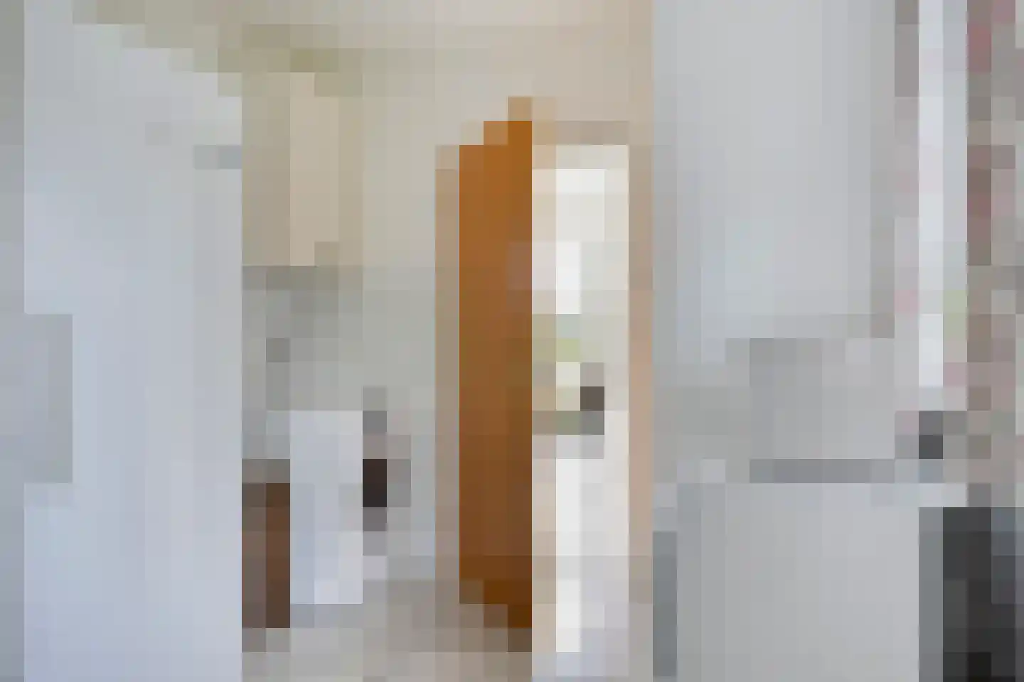 Carmelweg 3 Hulst thumbnail 13