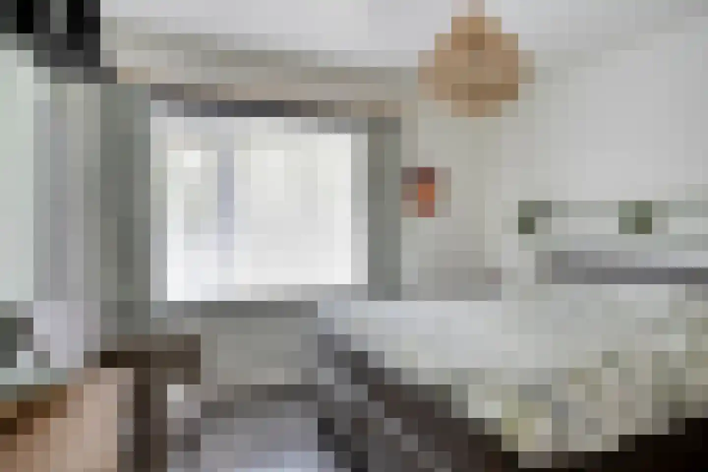Carmelweg 3 Hulst thumbnail 14