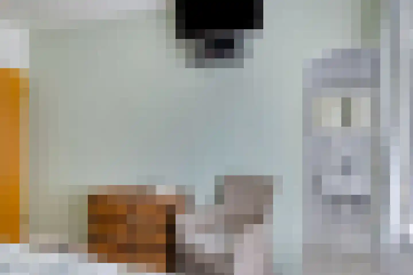 Carmelweg 3 Hulst thumbnail 15