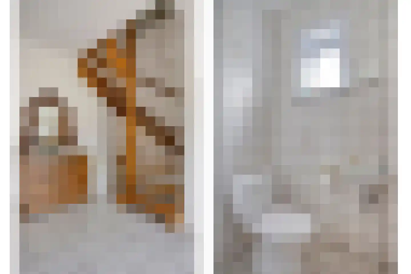 Carmelweg 3 Hulst thumbnail 16