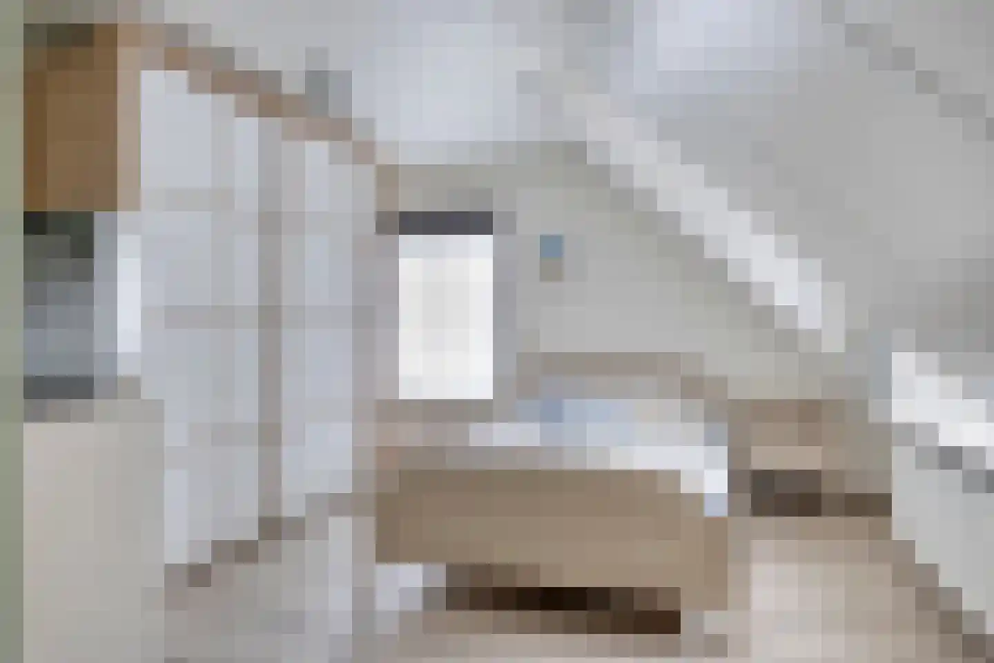 Carmelweg 3 Hulst thumbnail 17