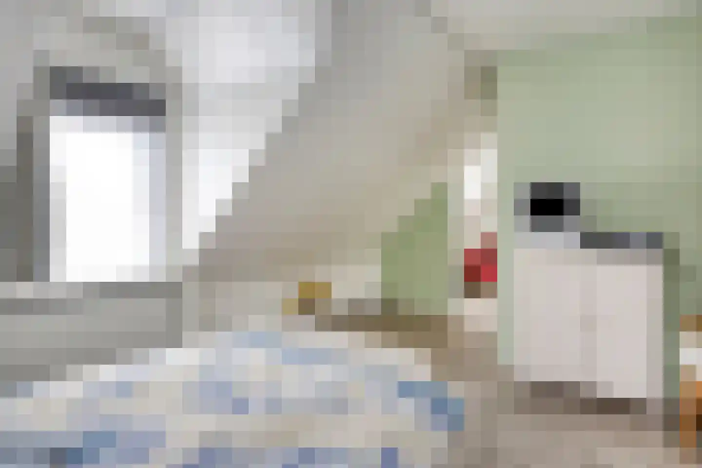 Carmelweg 3 Hulst thumbnail 18