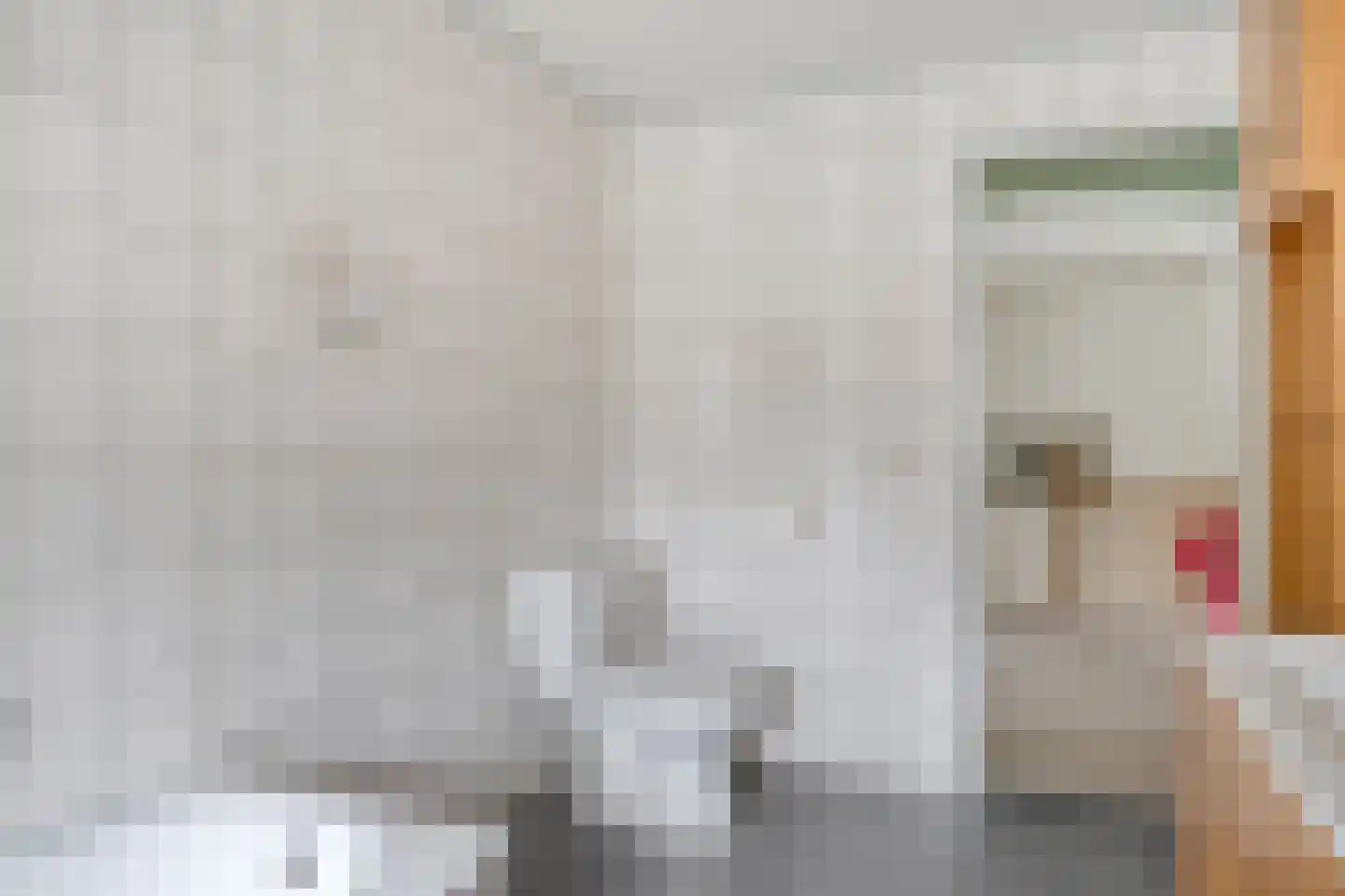 Carmelweg 3 Hulst thumbnail 20