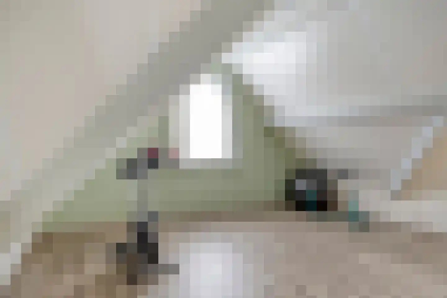 Carmelweg 3 Hulst thumbnail 21