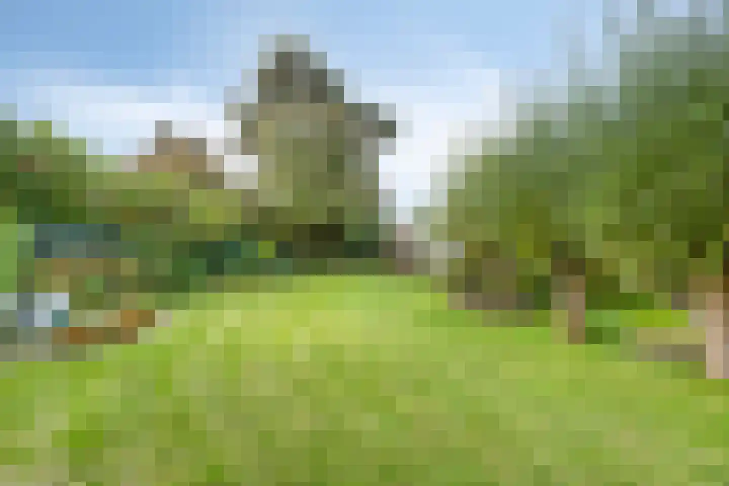 Carmelweg 3 Hulst thumbnail 25