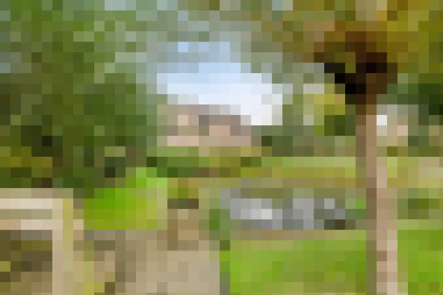 Carmelweg 3 Hulst thumbnail 26