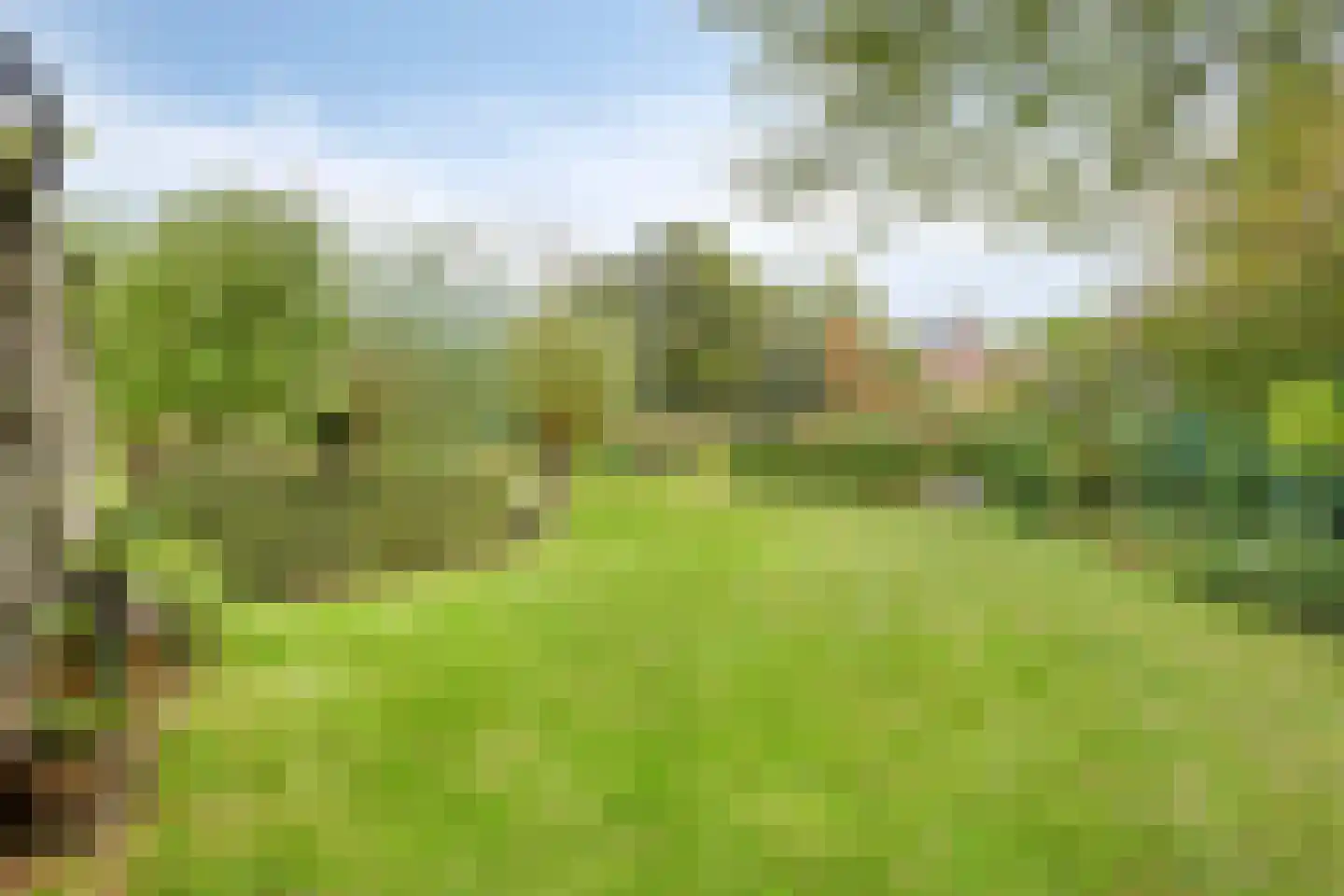 Carmelweg 3 Hulst thumbnail 27
