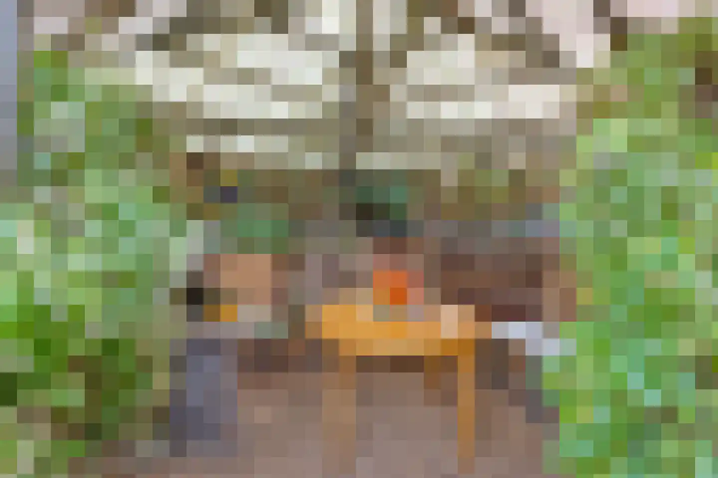 Carmelweg 3 Hulst thumbnail 29