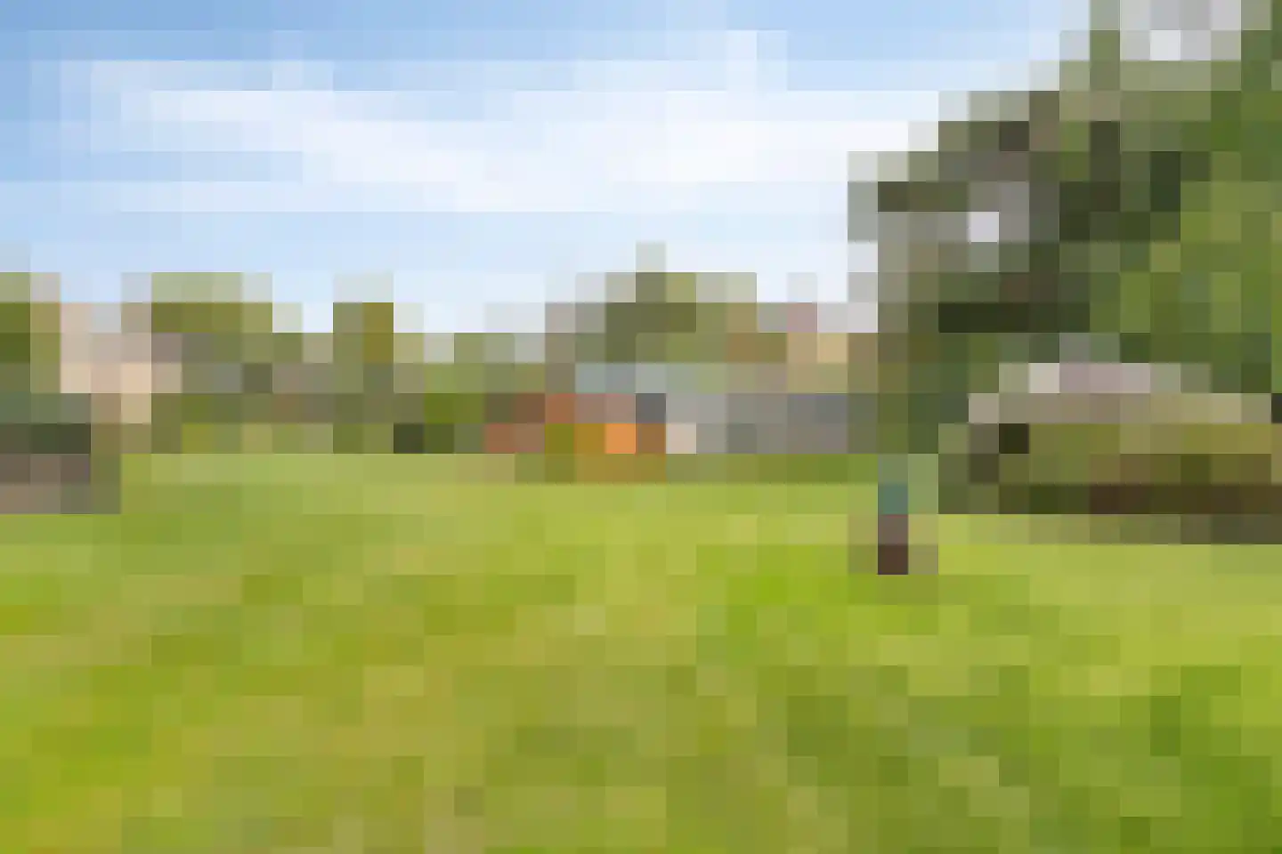 Carmelweg 3 Hulst thumbnail 30