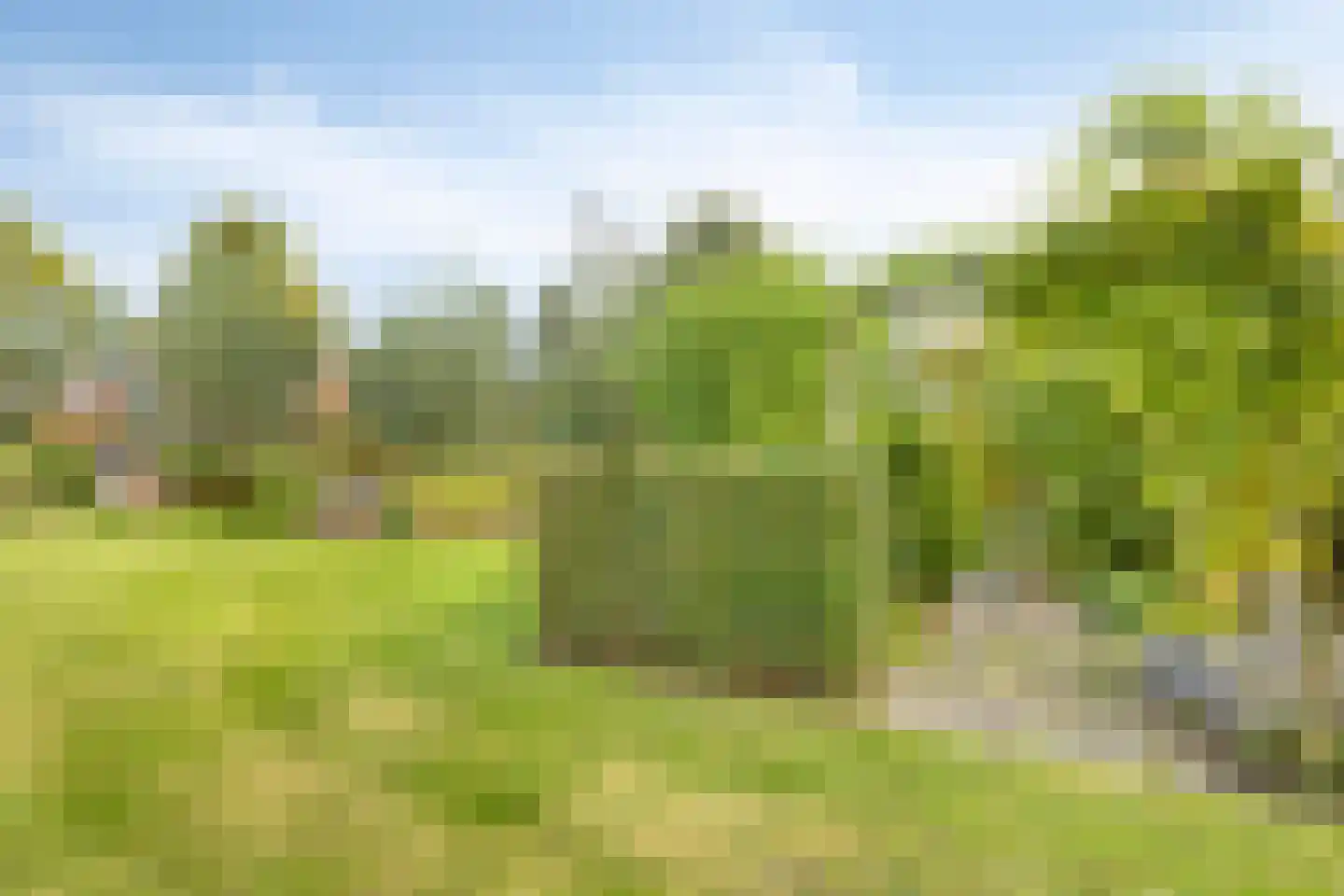 Carmelweg 3 Hulst thumbnail 31
