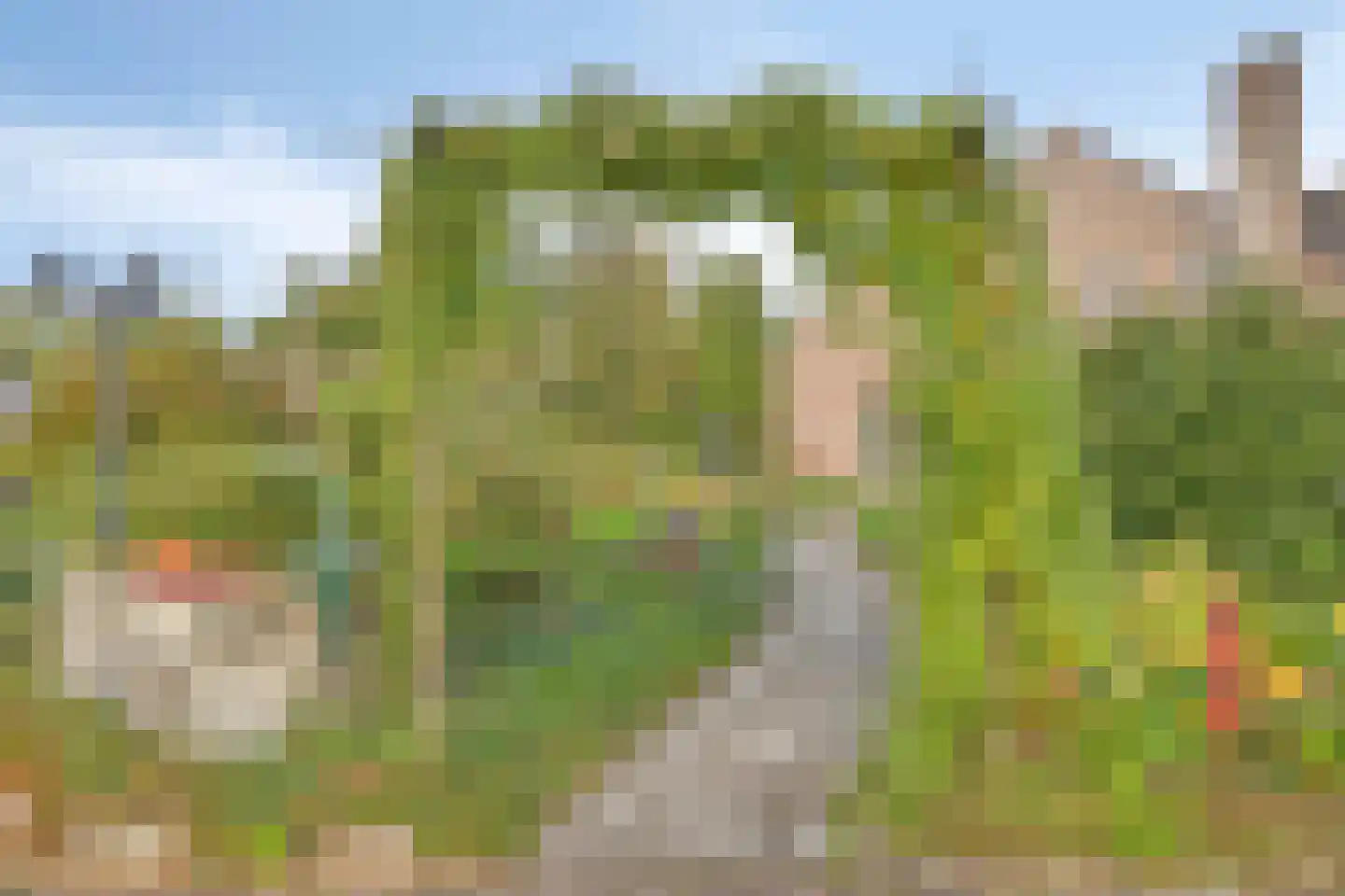 Carmelweg 3 Hulst thumbnail 32