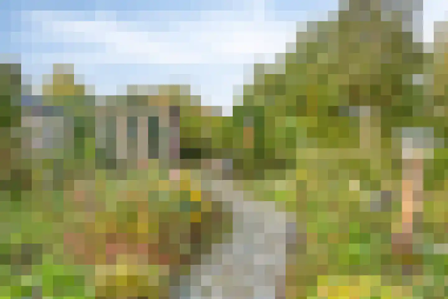 Carmelweg 3 Hulst thumbnail 33