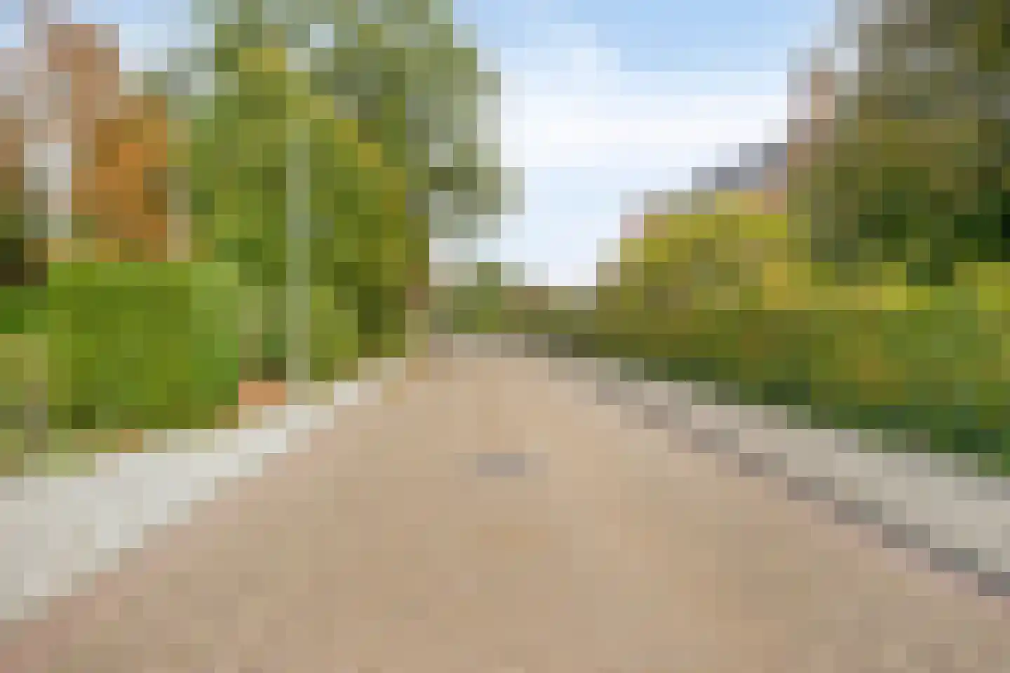 Carmelweg 3 Hulst thumbnail 34