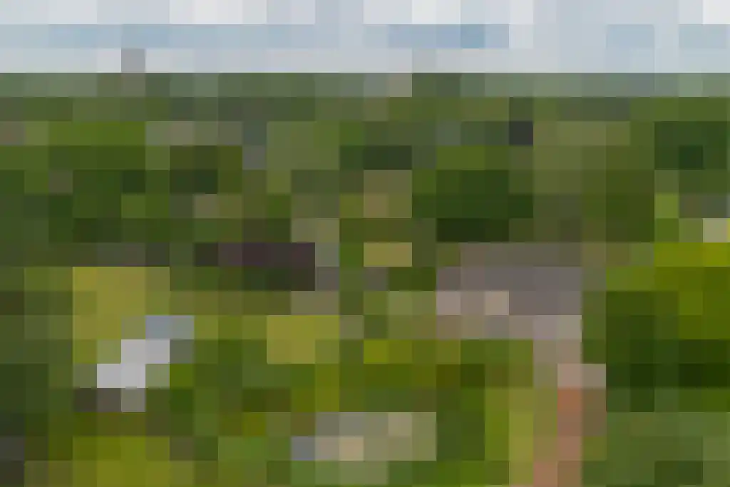 Carmelweg 3 Hulst thumbnail 36