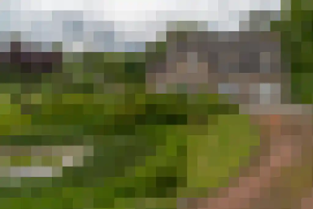 Carmelweg 3 Hulst thumbnail 4