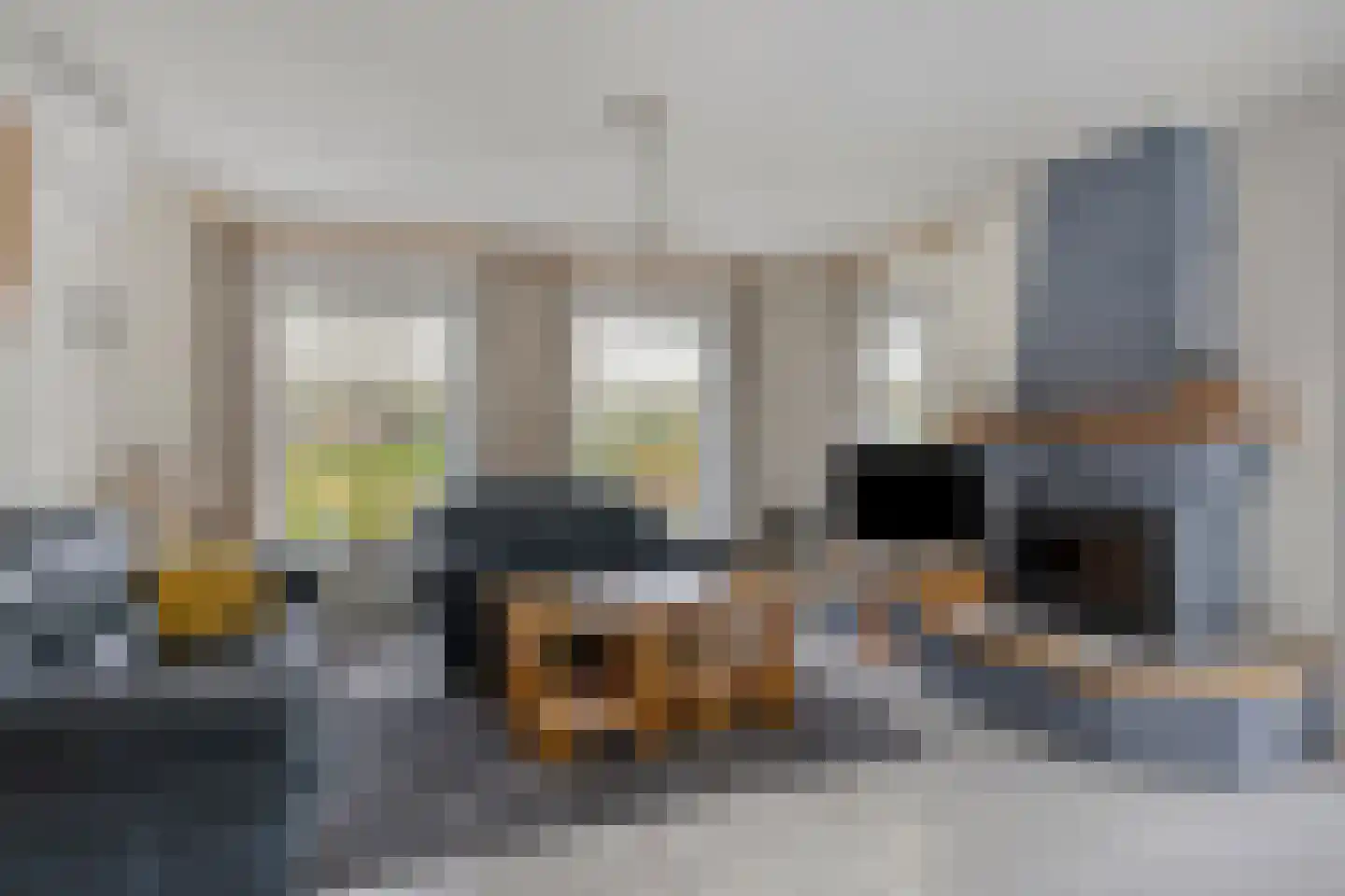 Carmelweg 3 Hulst thumbnail 6