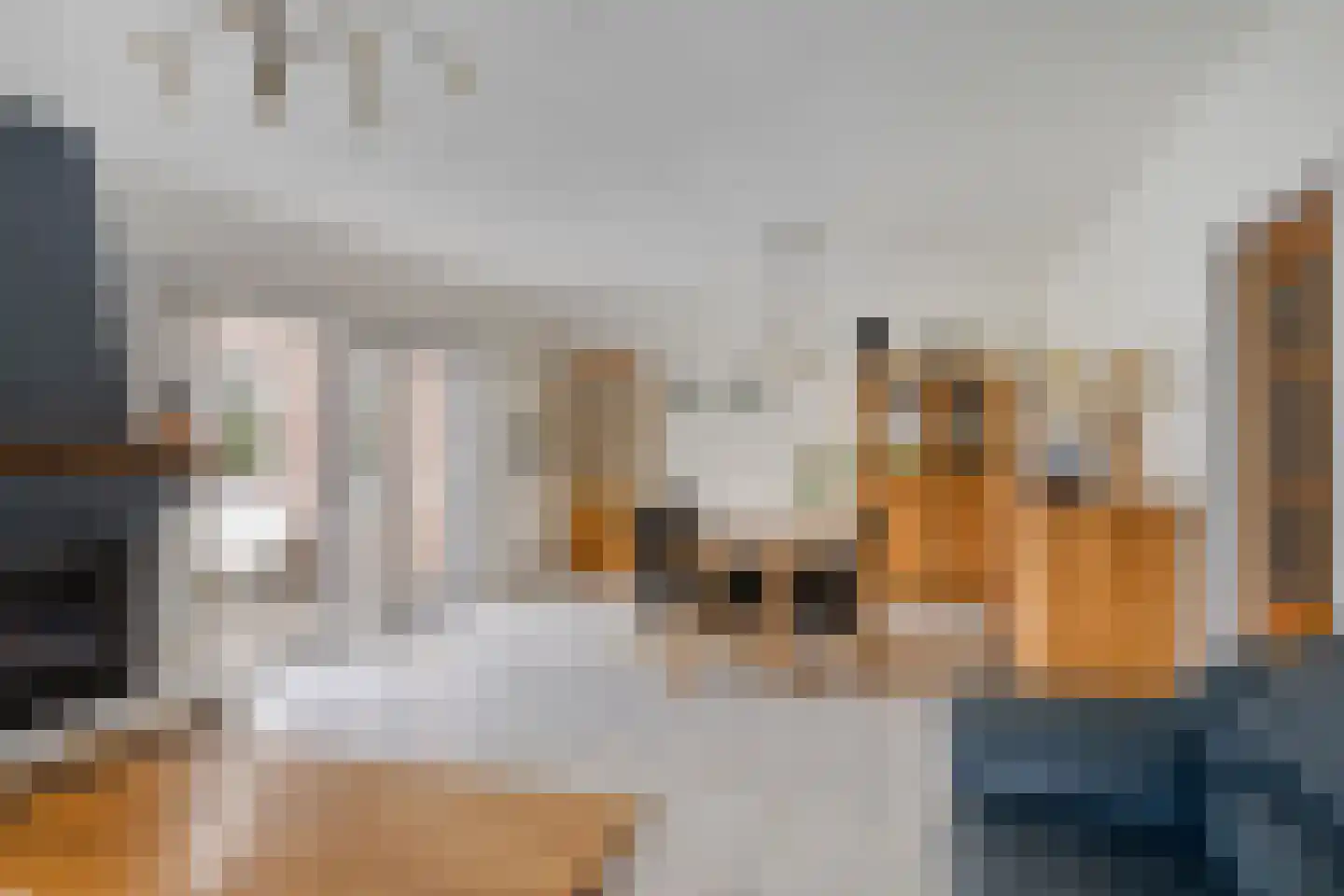 Carmelweg 3 Hulst thumbnail 7