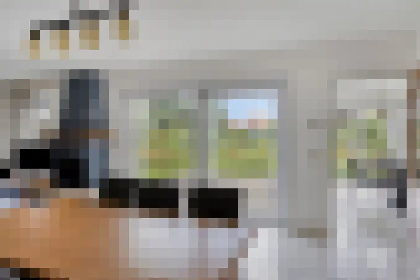 Carmelweg 3 Hulst thumbnail 9