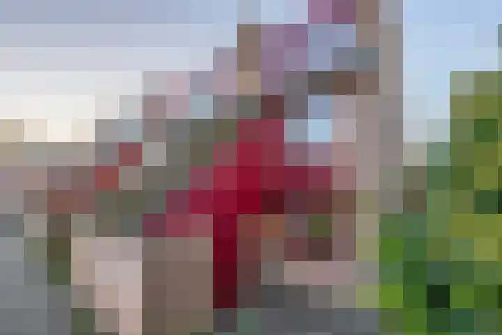 Carmenschouw 11 Zoetermeer thumbnail 4