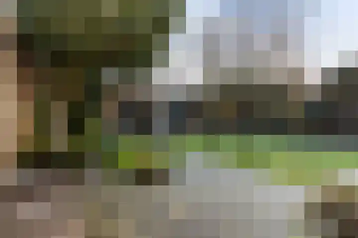 Carmenstraat 28 Apeldoorn thumbnail 15