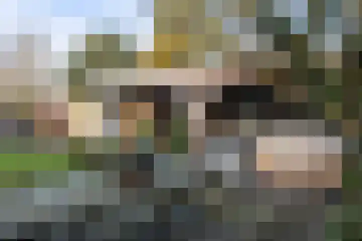 Carmenstraat 28 Apeldoorn thumbnail 18