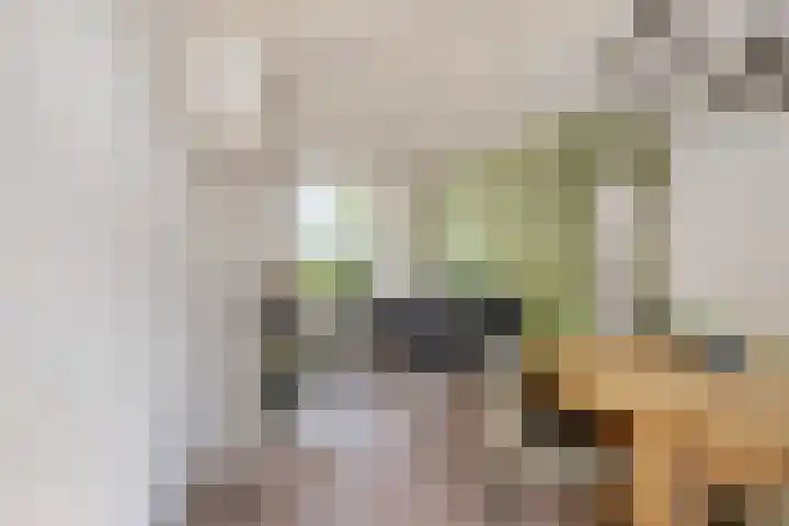 Carnalaan 4 Tolkamer thumbnail 11