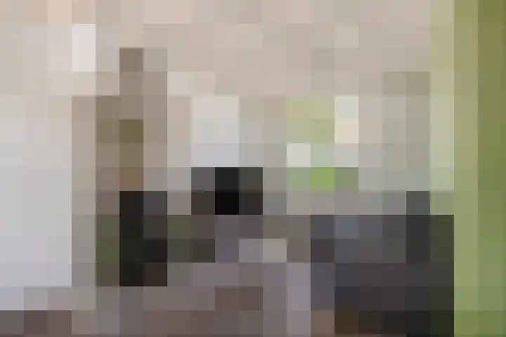 Carnalaan 4 Tolkamer thumbnail 12