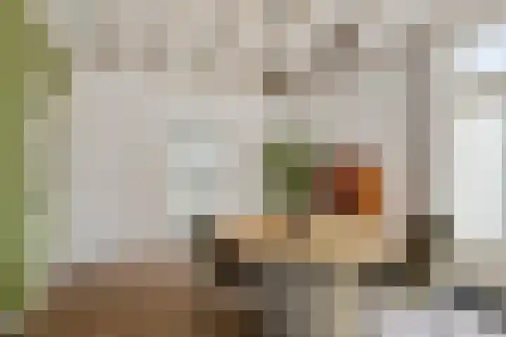 Carnalaan 4 Tolkamer thumbnail 14