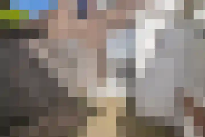 Carnalaan 4 Tolkamer thumbnail 23