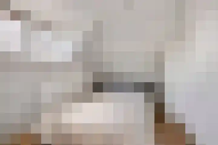 Carnalaan 4 Tolkamer thumbnail 27