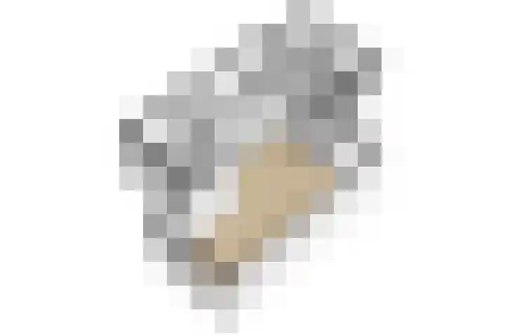 Carnalaan 4 Tolkamer thumbnail 37