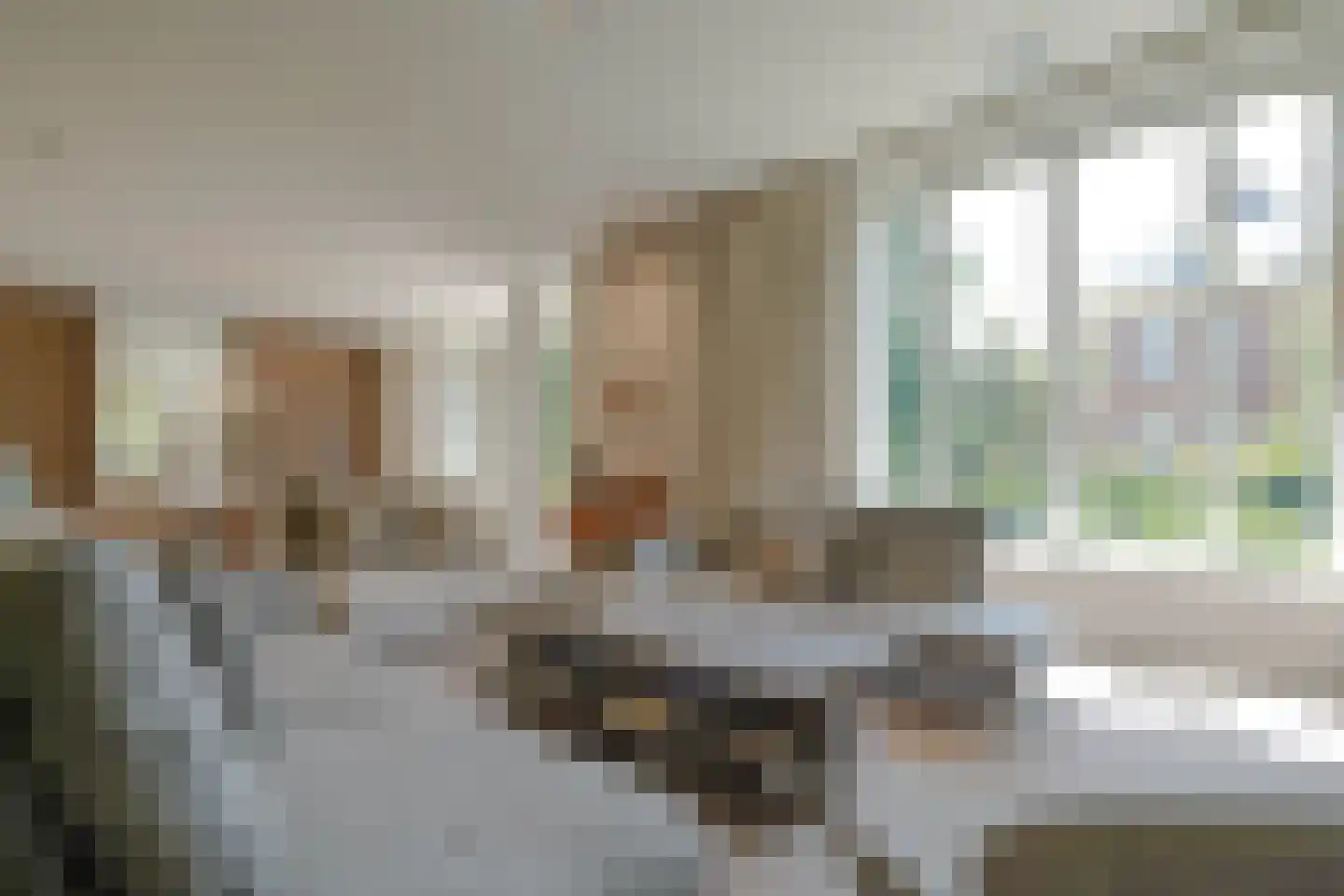 Carnegielaan 1 Den Haag thumbnail 15