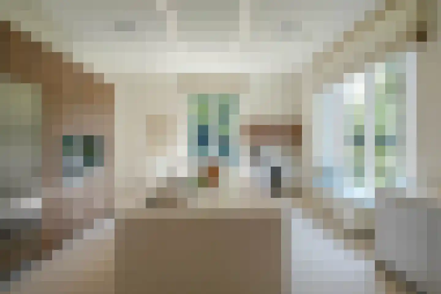 Carnegielaan 1 Den Haag thumbnail 23