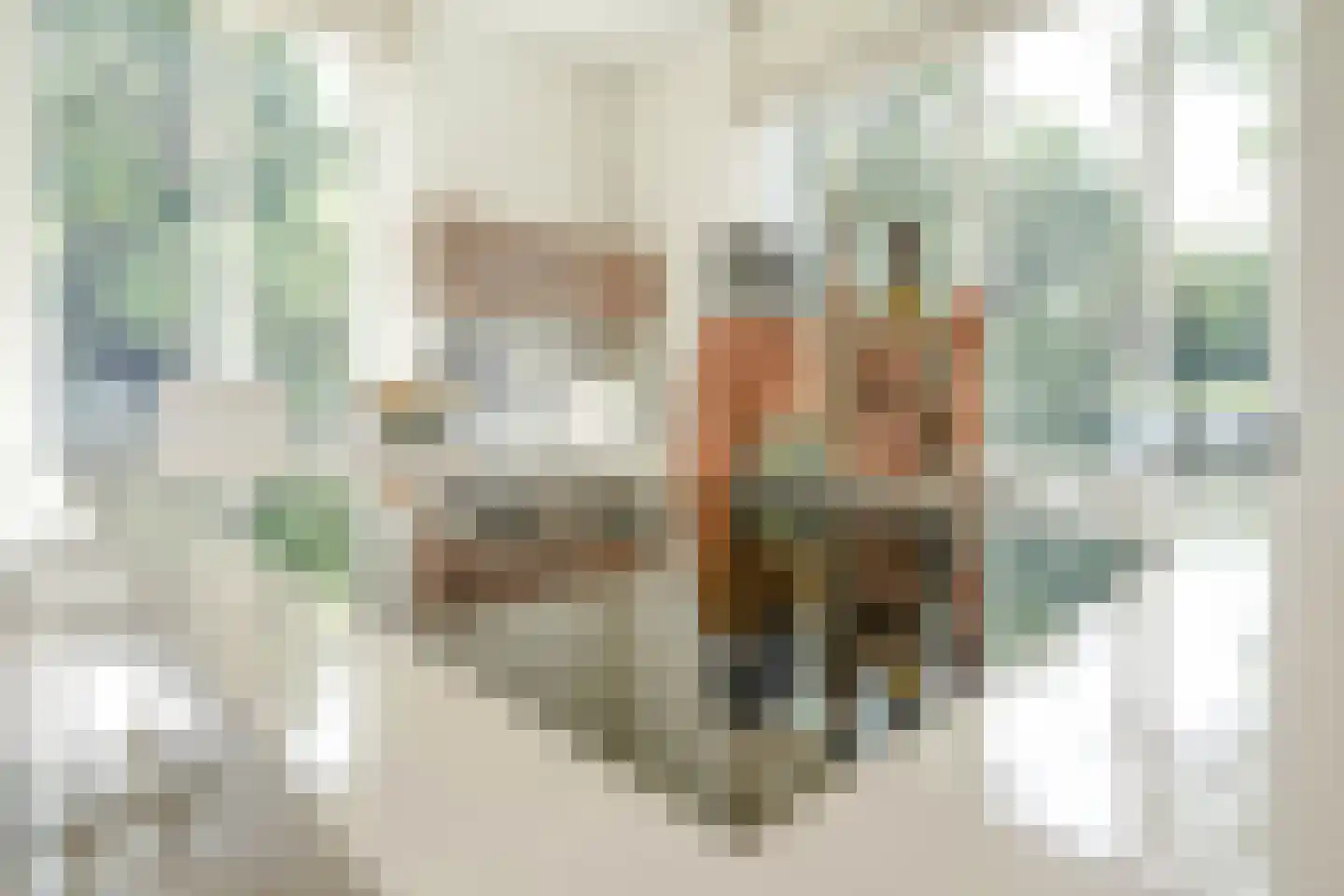 Carnegielaan 1 Den Haag thumbnail 26