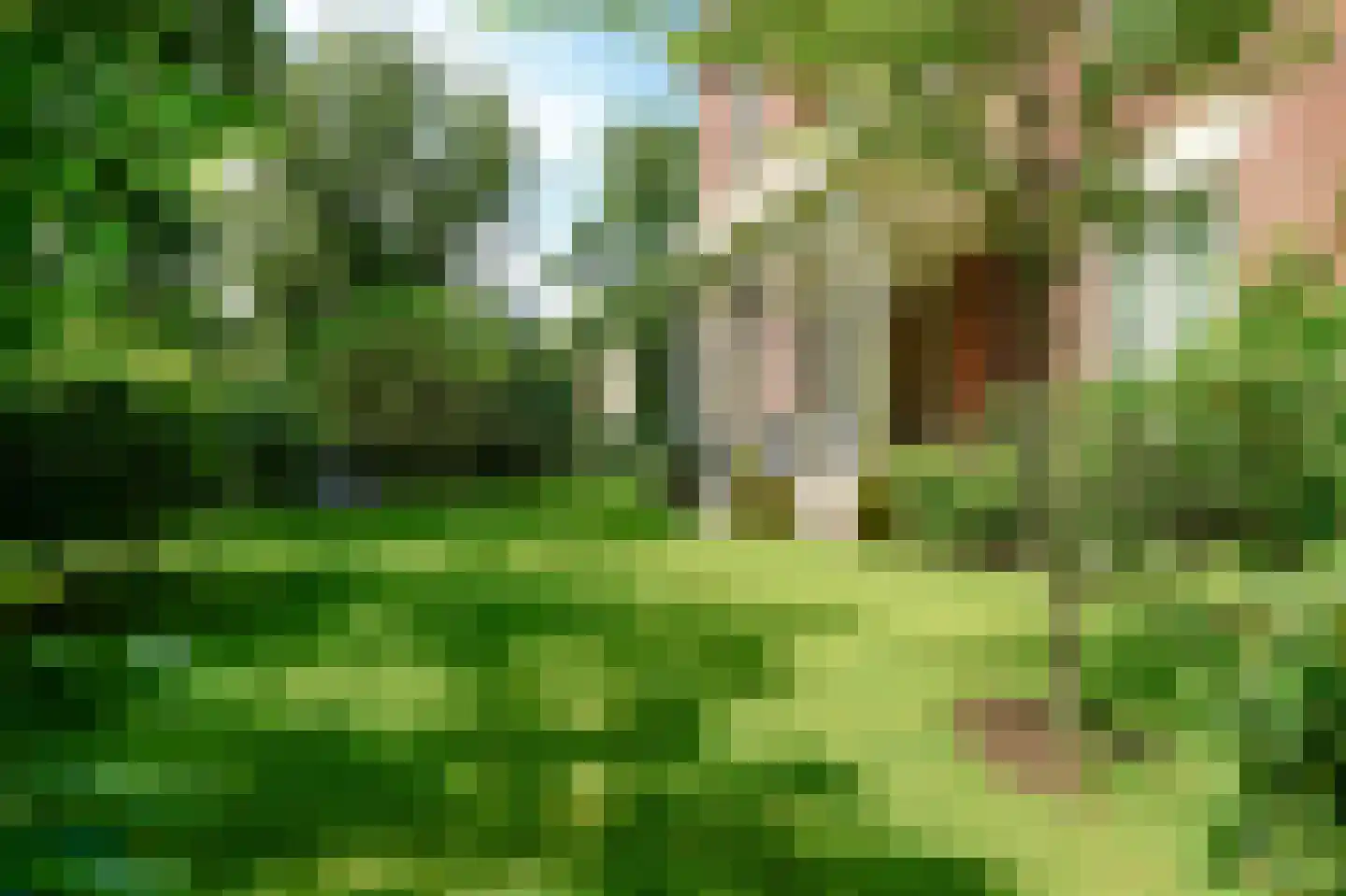 Carnegielaan 1 Den Haag thumbnail 35