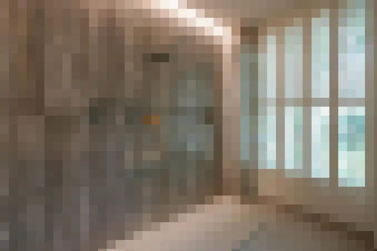 Carnegielaan 1 Den Haag thumbnail 44