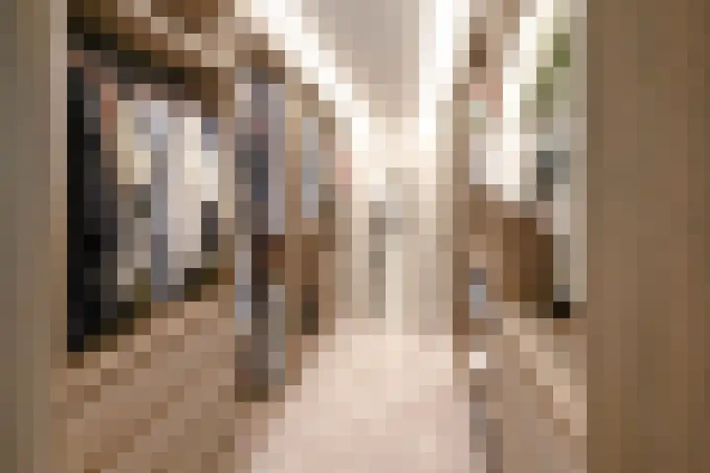 Carnegielaan 1 Den Haag thumbnail 52