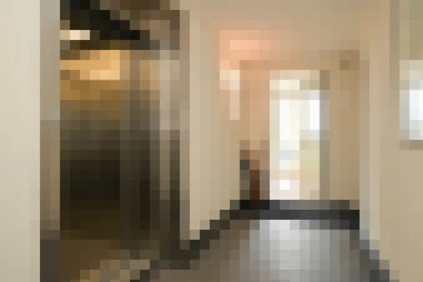 Carnegielaan 56 Den Haag thumbnail 11